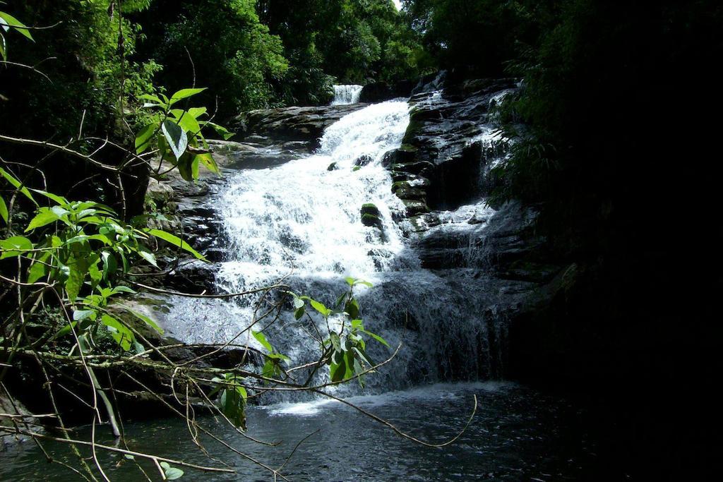 Hotel Terra Do Sempre - Reserva Ambiental São Francisco de Paula Zewnętrze zdjęcie