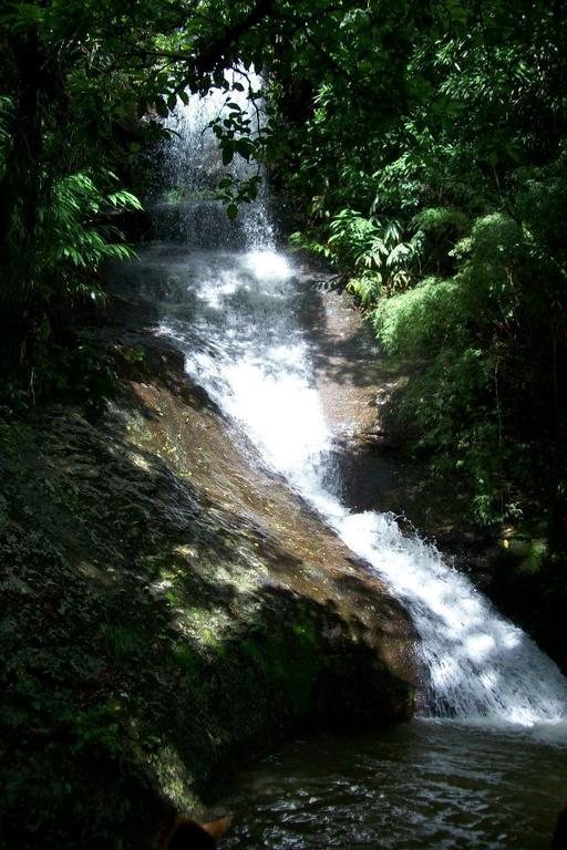 Hotel Terra Do Sempre - Reserva Ambiental São Francisco de Paula Zewnętrze zdjęcie
