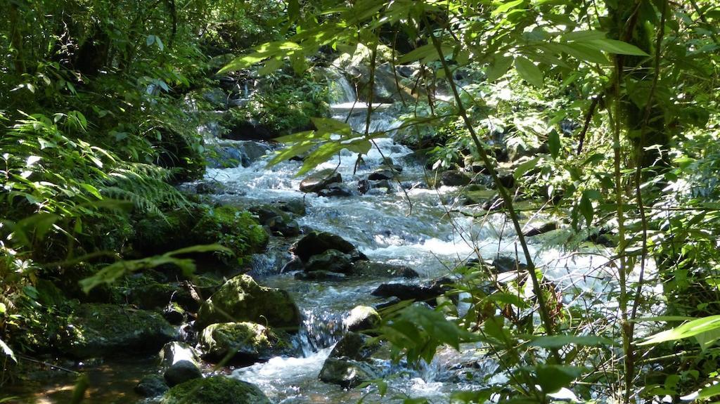 Hotel Terra Do Sempre - Reserva Ambiental São Francisco de Paula Zewnętrze zdjęcie